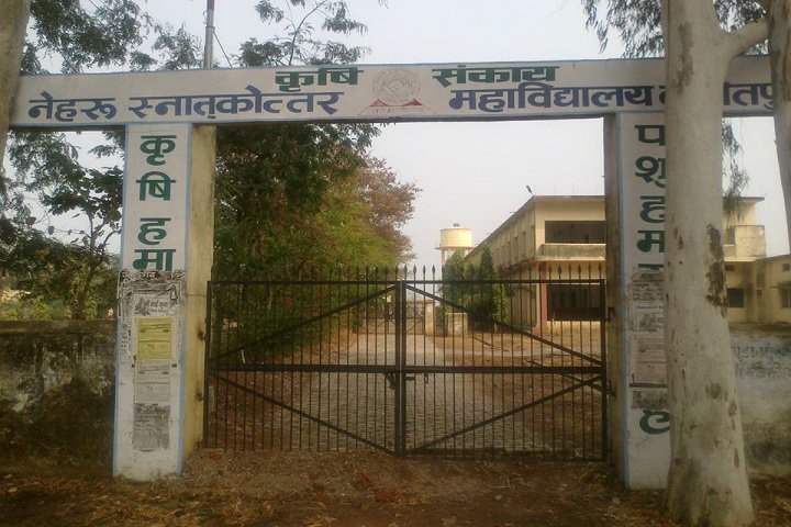 https://cache.careers360.mobi/media/colleges/social-media/media-gallery/10827/2018/11/5/Campus entrance view of Nehru PG College Lalitpur_Campus-view.jpg